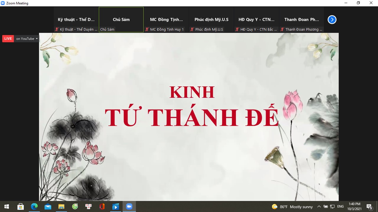 Ảnh 14