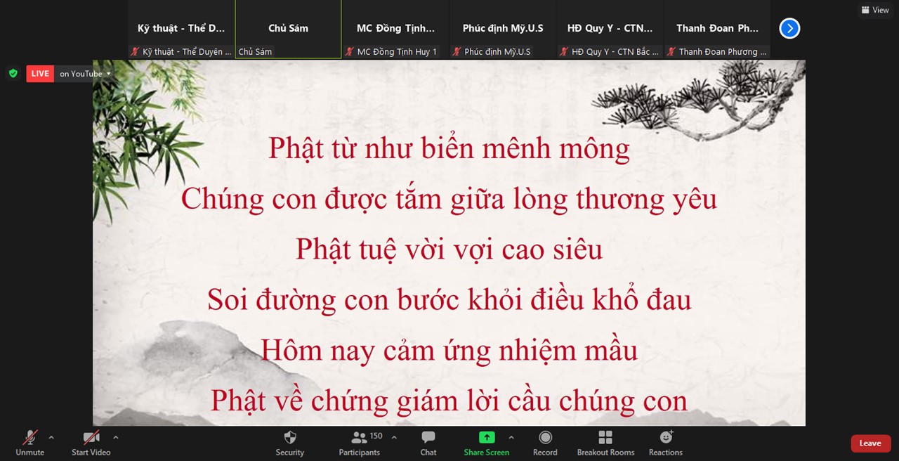 Ảnh 16