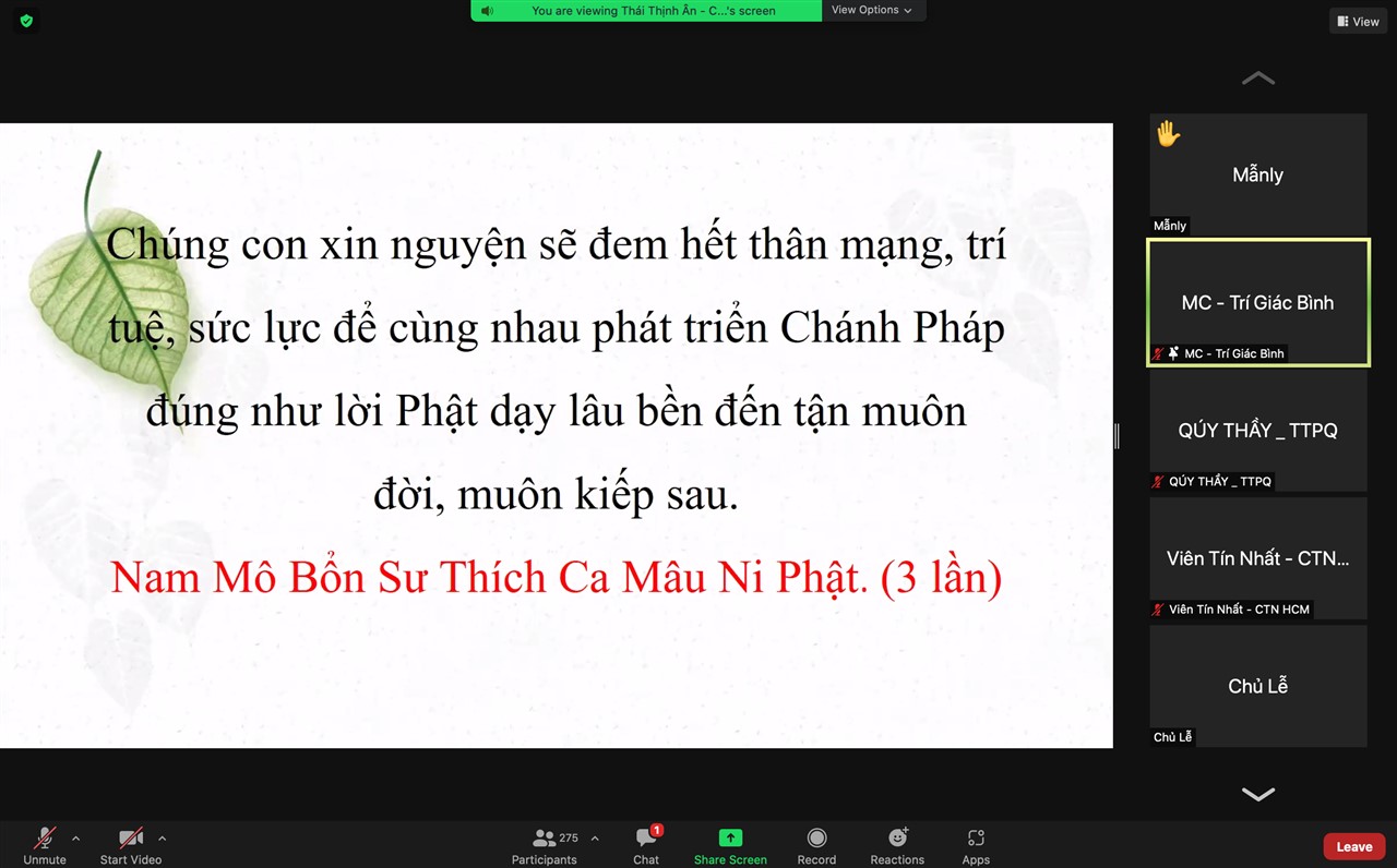 Ảnh 11