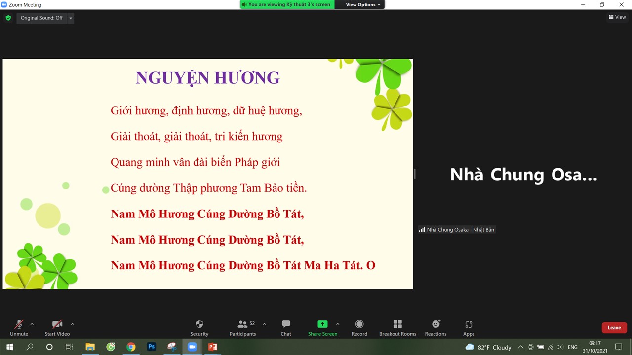 Ảnh 11
