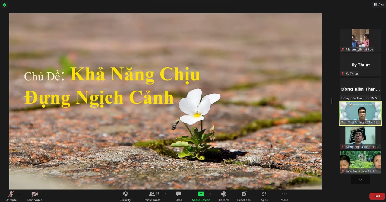 Ảnh 1