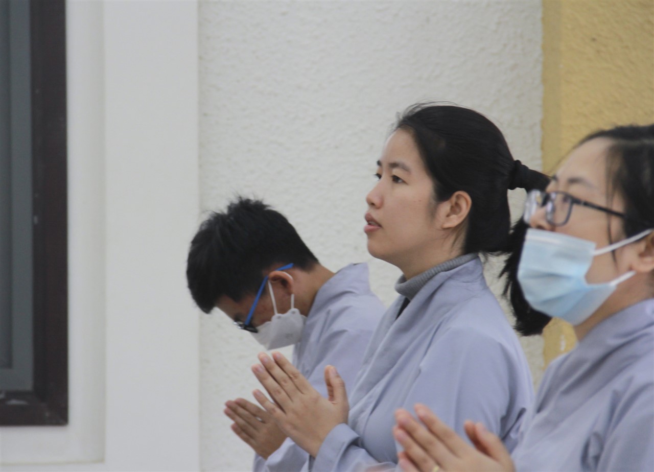 Ảnh 20