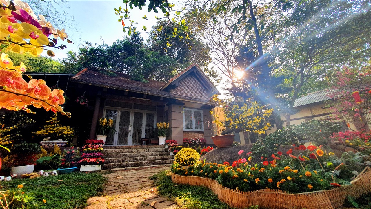 Mừng ngày hiện hữu