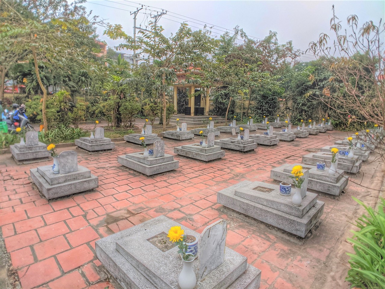 Ảnh 34
