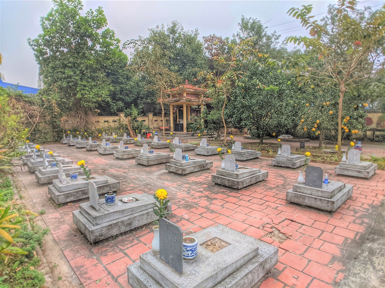 Ảnh 35