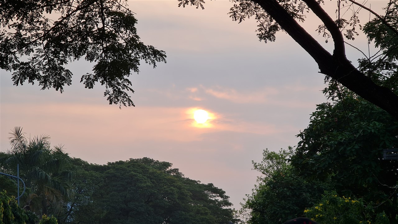 Ảnh 7