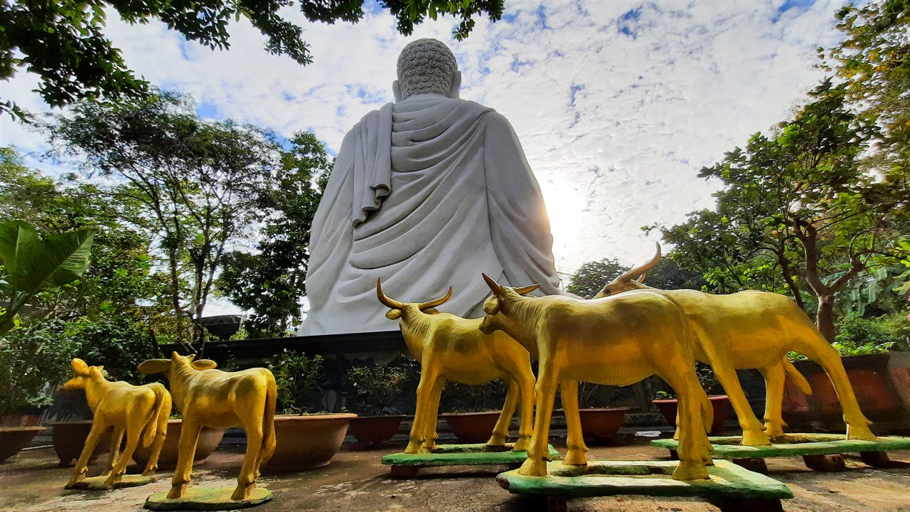 Nguyện lòng theo bước Phật thênh thang