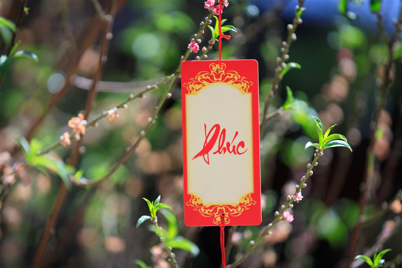 Gợi ý những lời chúc mẫu đúng Chánh Pháp