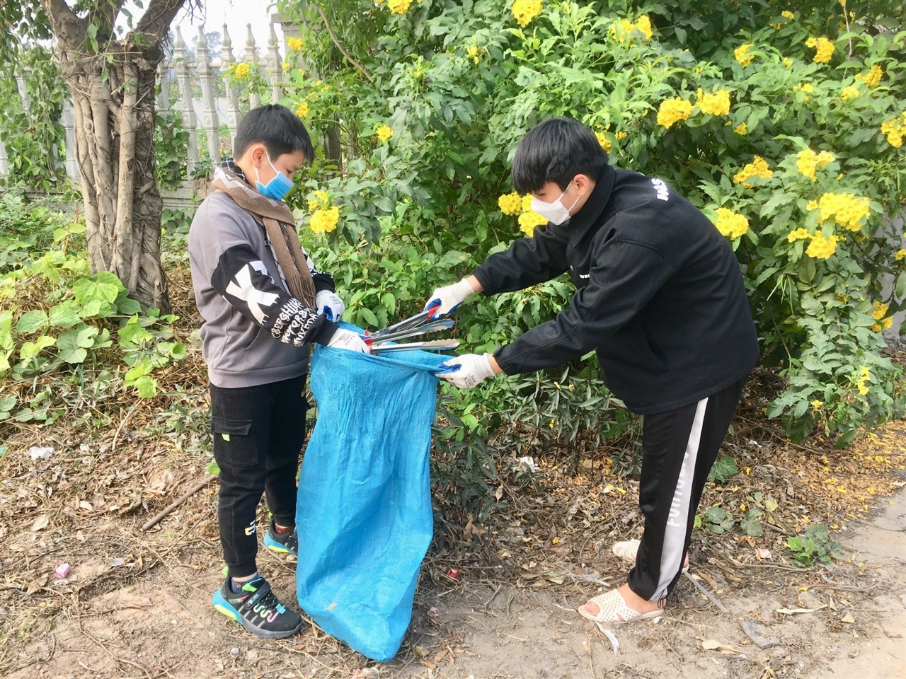 Ảnh 1
