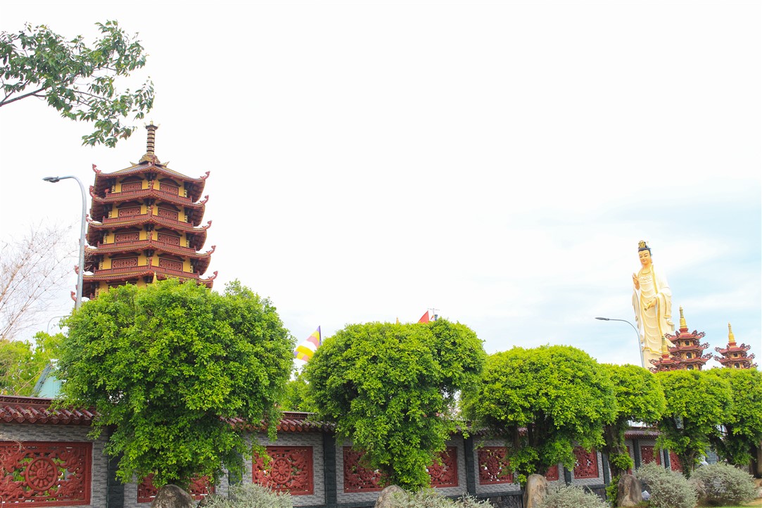 Ảnh 21