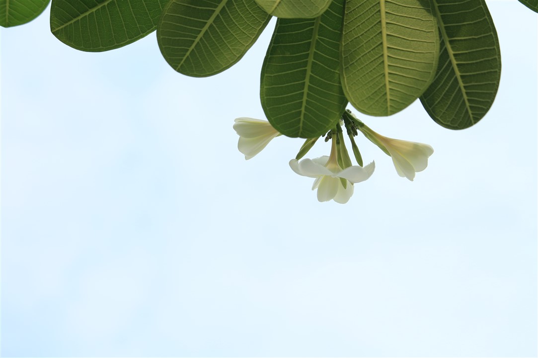 Ảnh 27