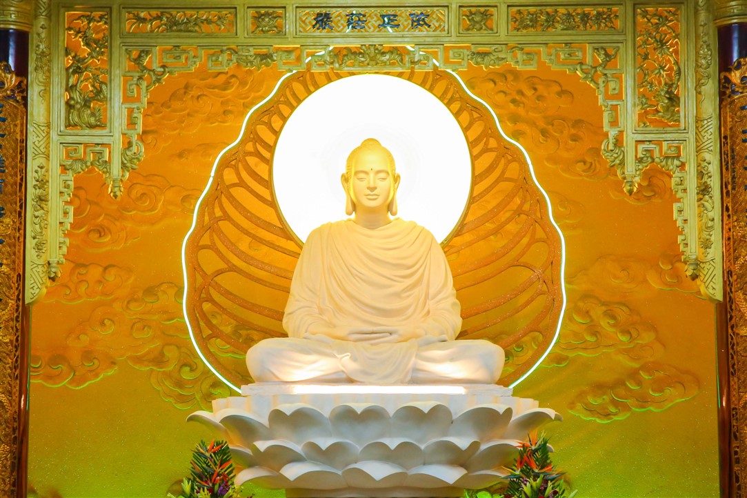 Ảnh 1
