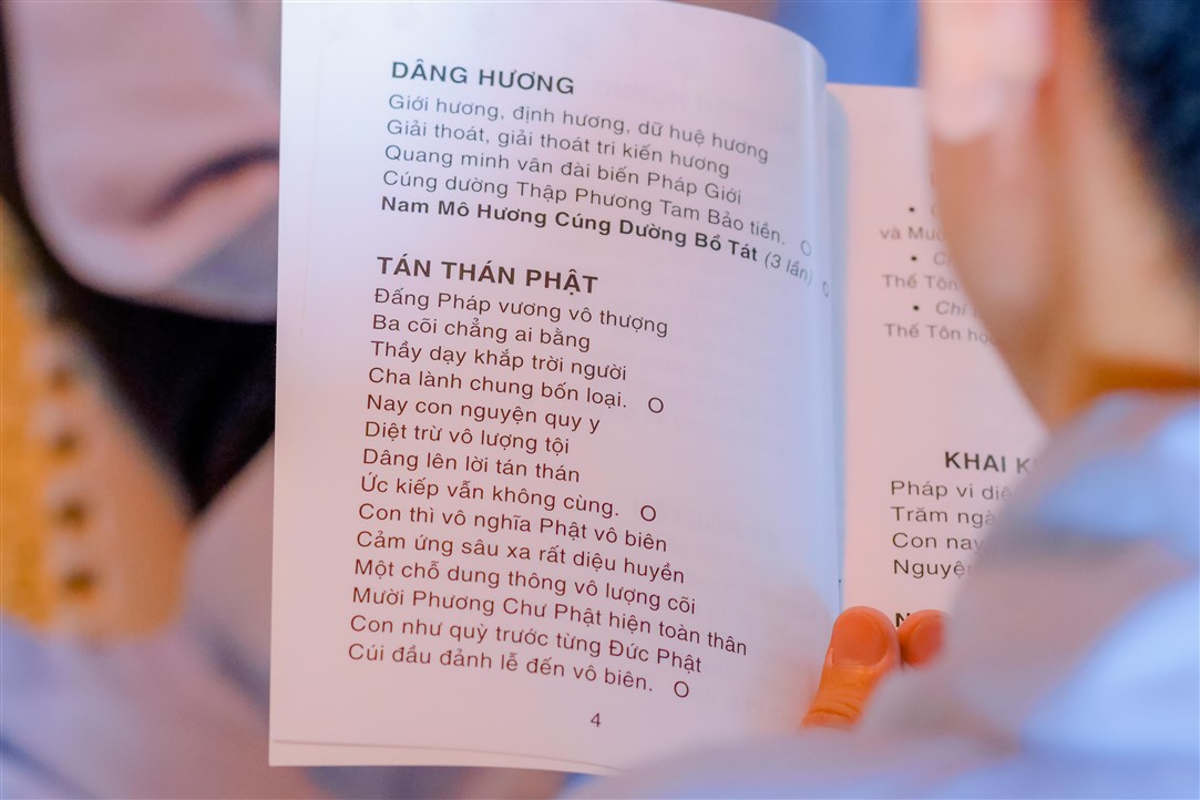 Ảnh 12