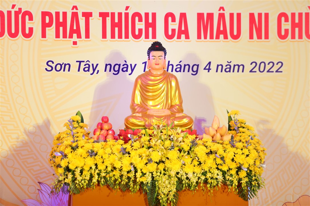 Ảnh 17