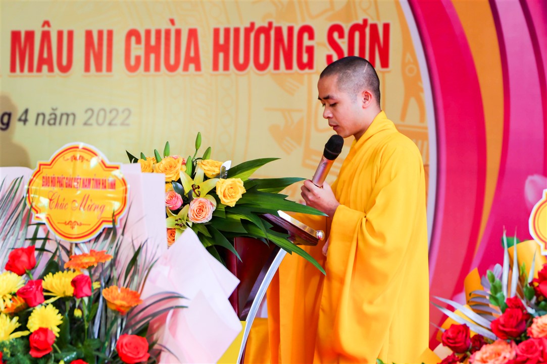 Ảnh 15