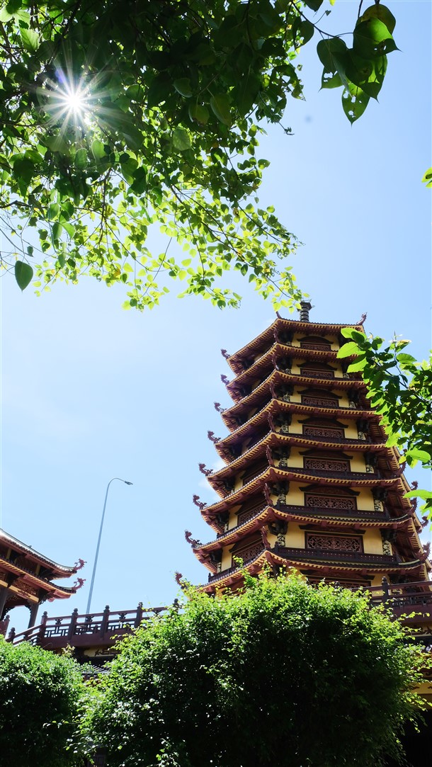 Ảnh 106