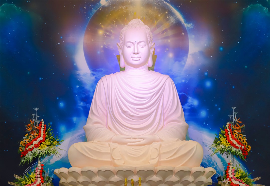 Ảnh 22