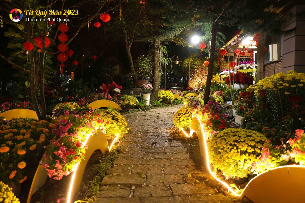 Ảnh 26