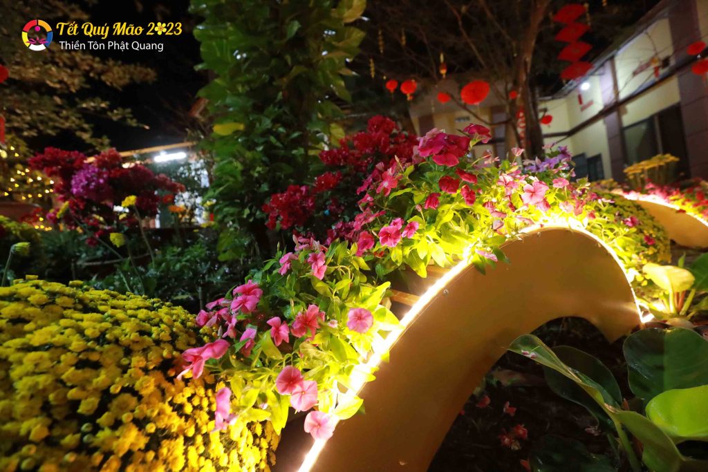 Ảnh 40