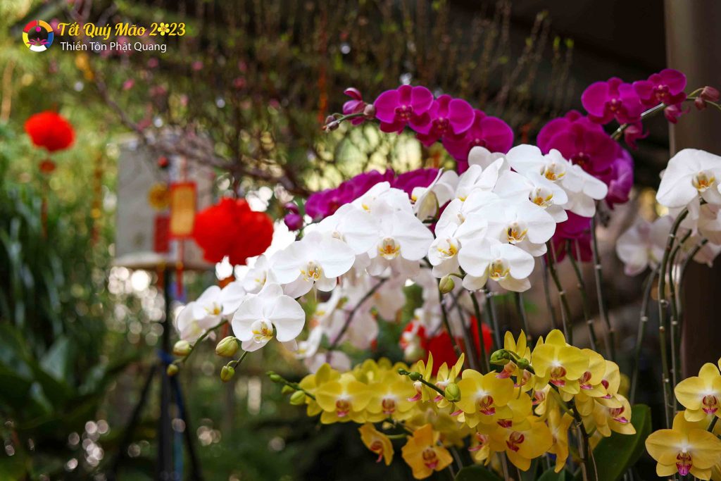 Ảnh 48