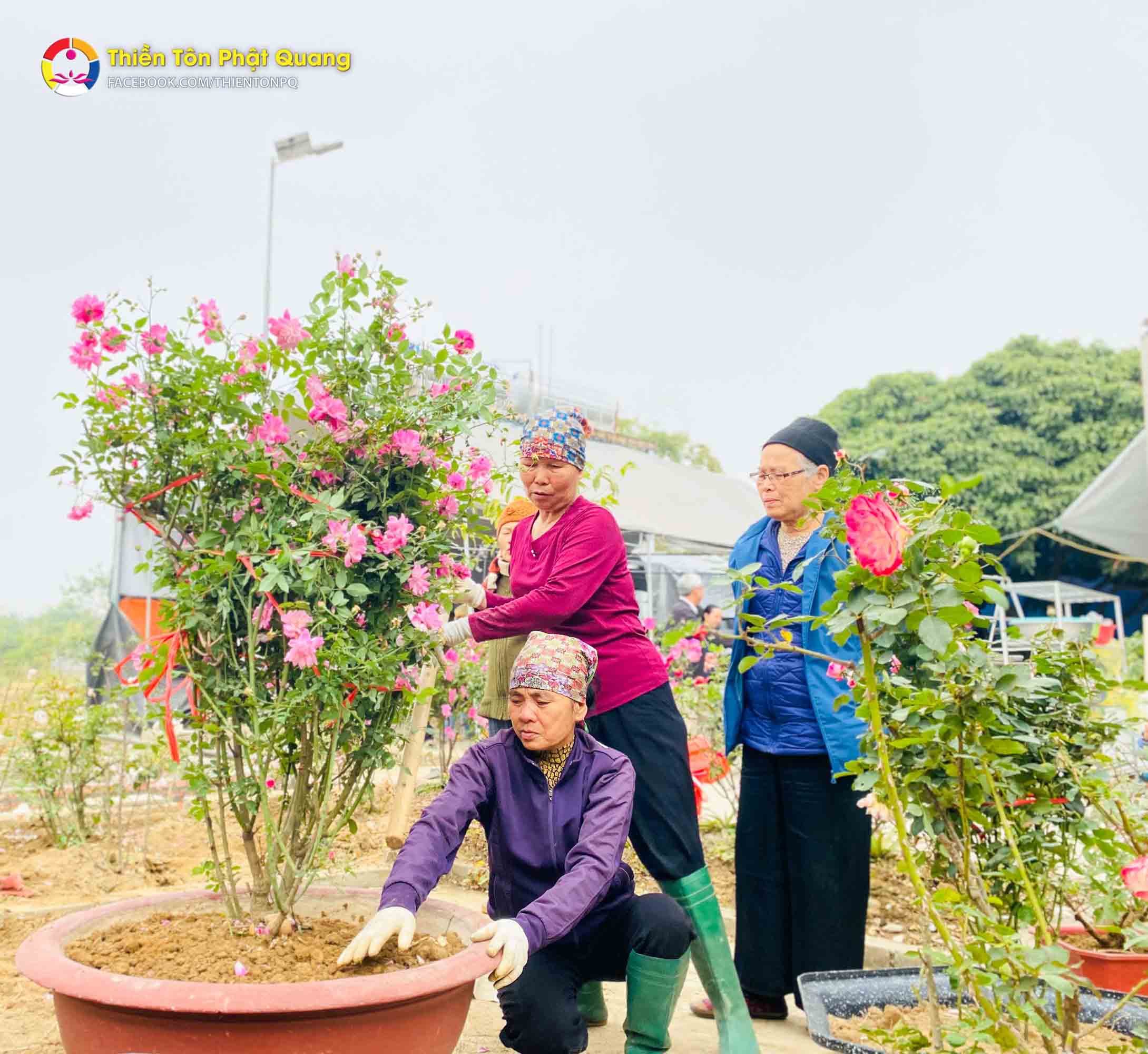 Rộn Ràng công tác chuẩn bị Đại Lễ Cầu Quốc Thái Dân An và khóa Thiền đầu tiên tại Chùa Linh Quang