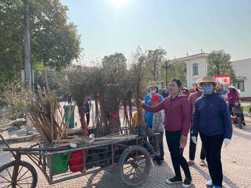 Ảnh 73