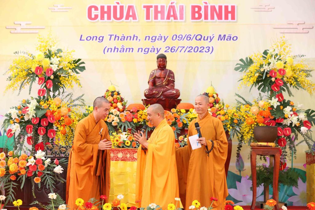 Ảnh 11