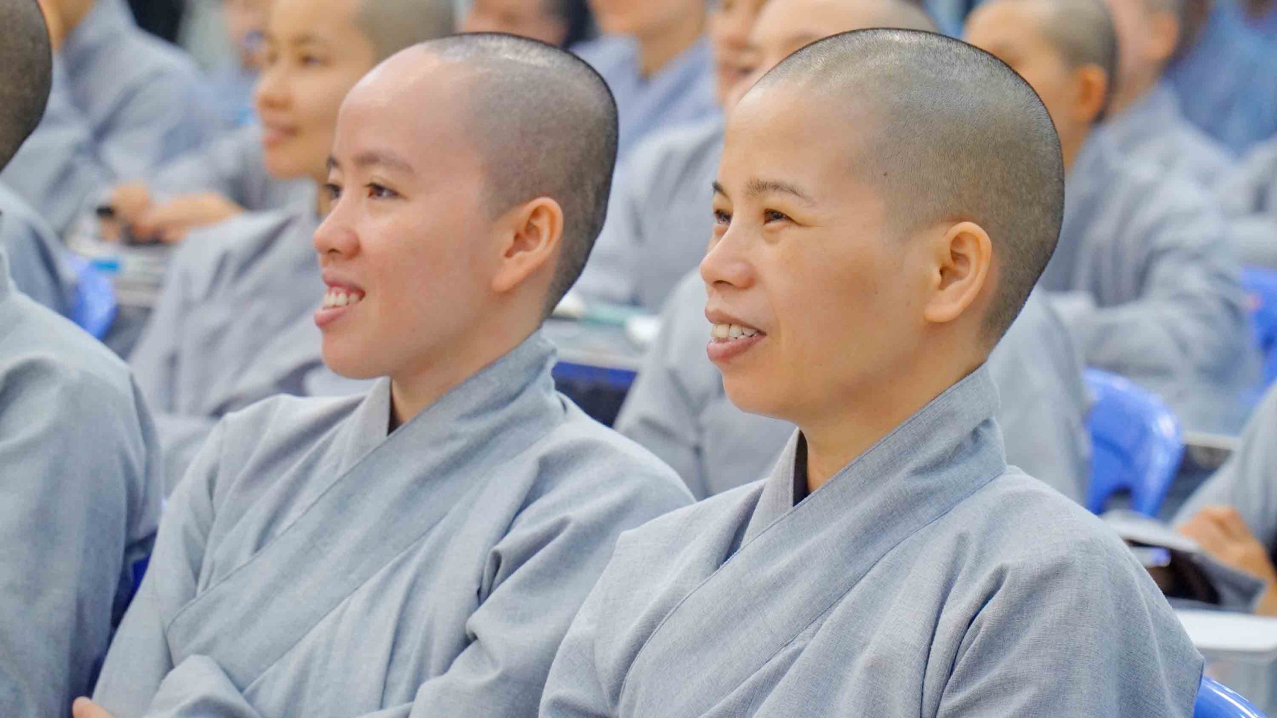 Ảnh 12