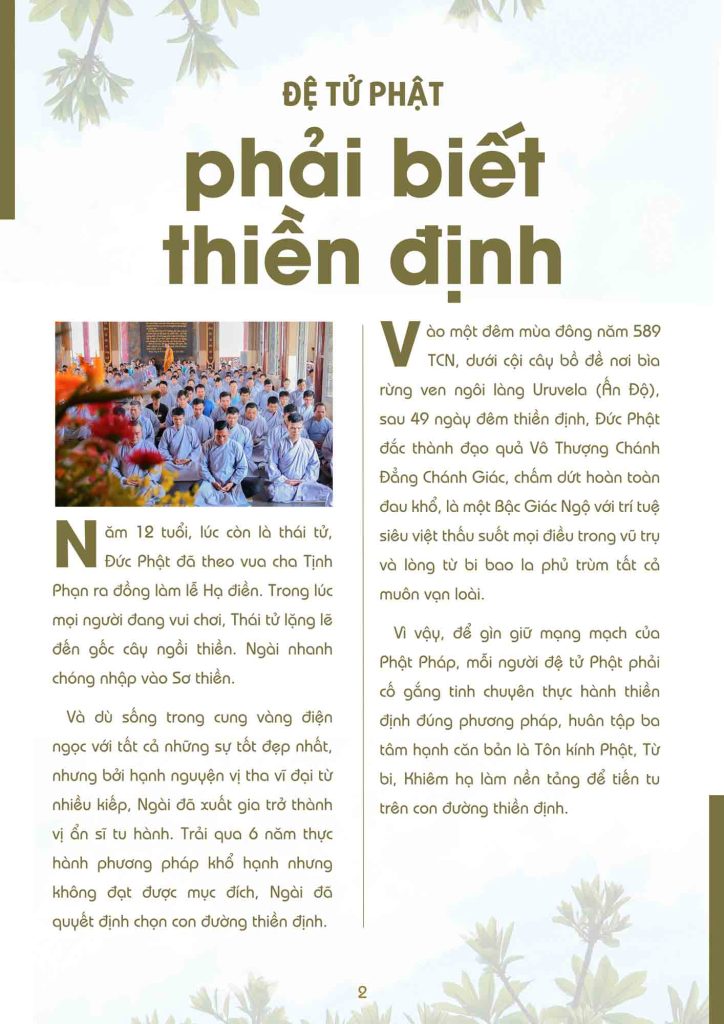 Ảnh 2