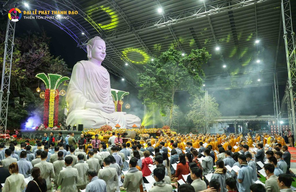 Ảnh 7