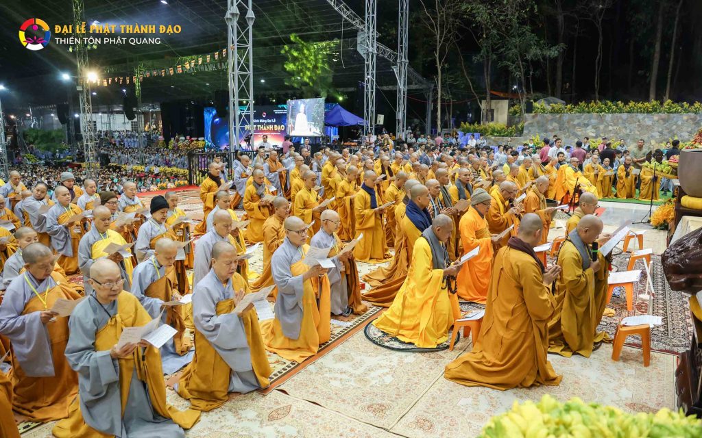 Ảnh 12