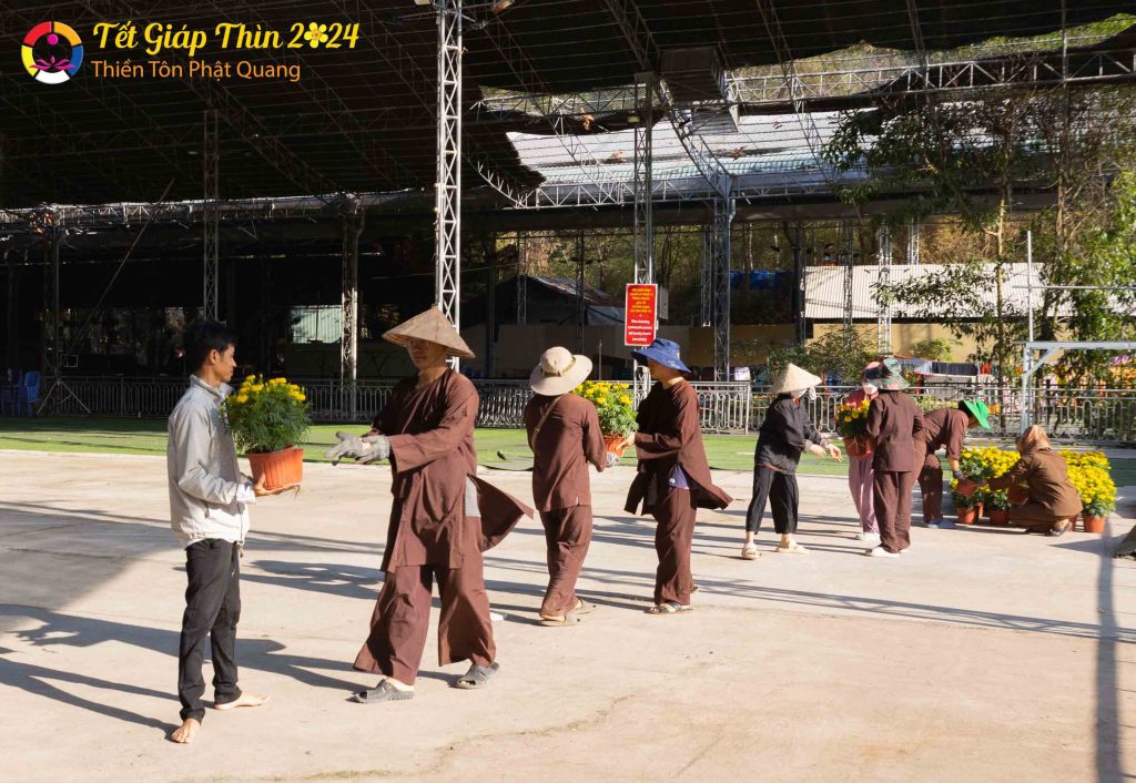 Ảnh 7