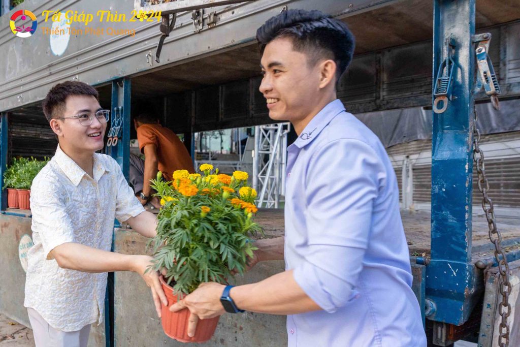 Ảnh 8