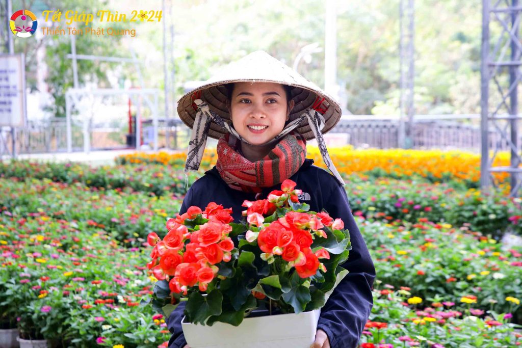 Ảnh 31
