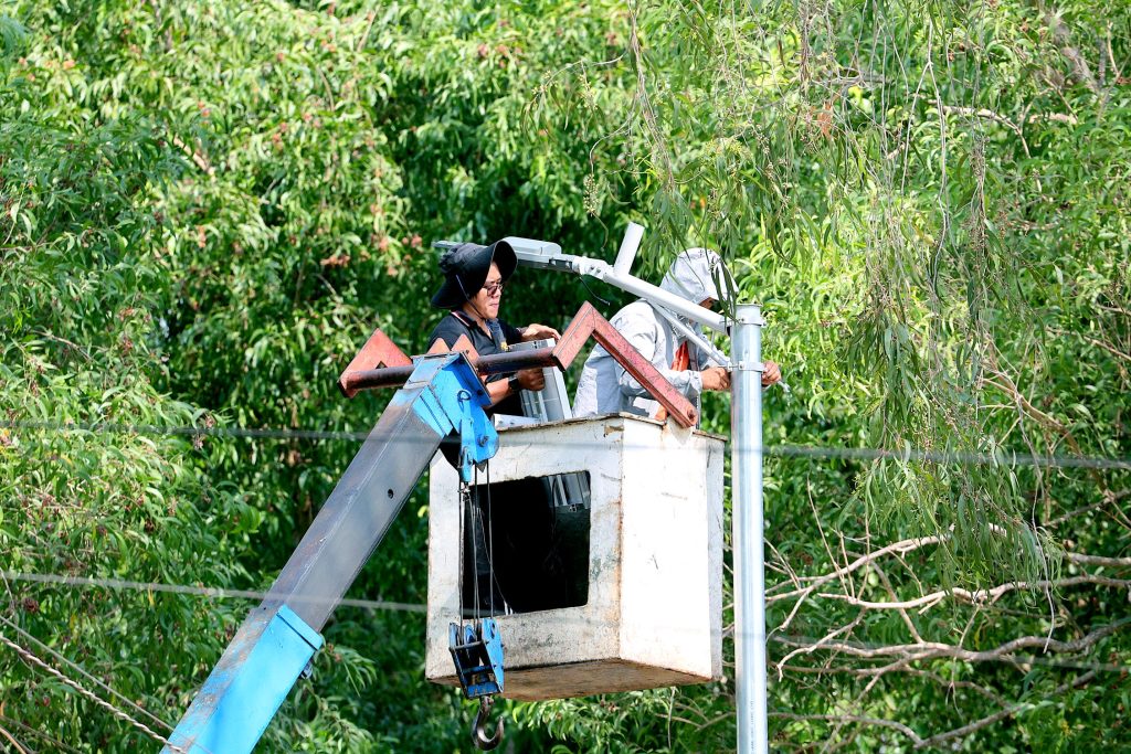 Ảnh 36