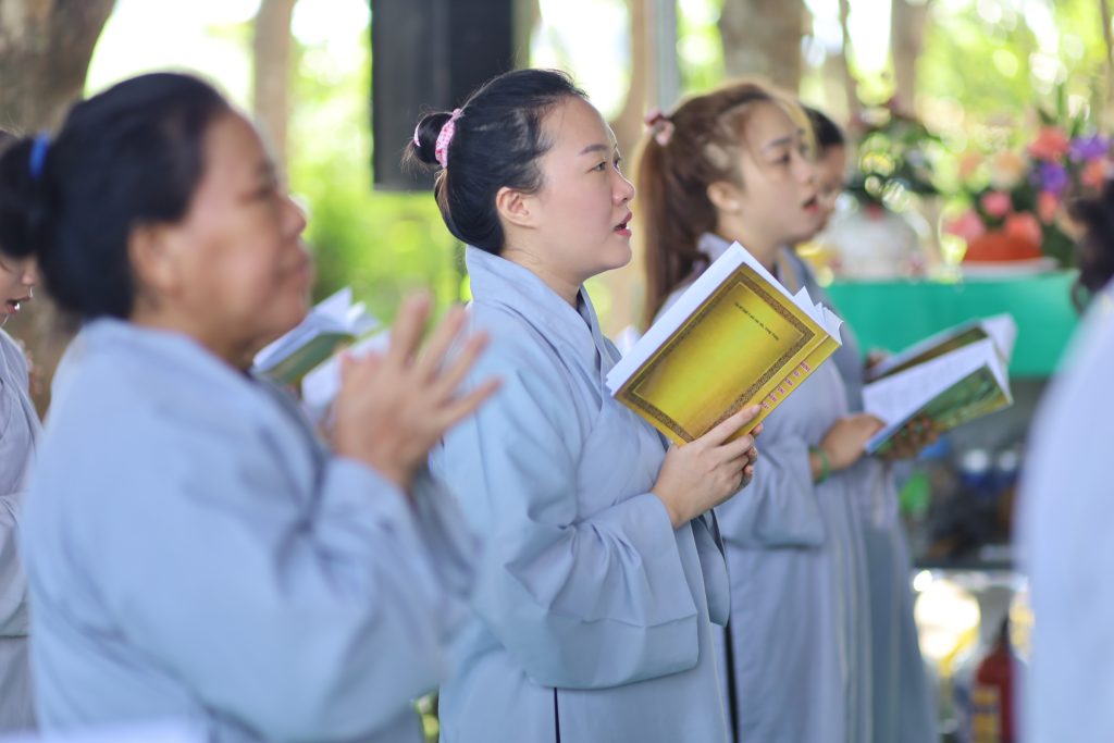 Ảnh 10