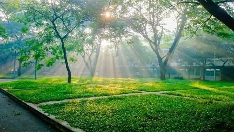 Hãy nói lên rằng xuân đã sang