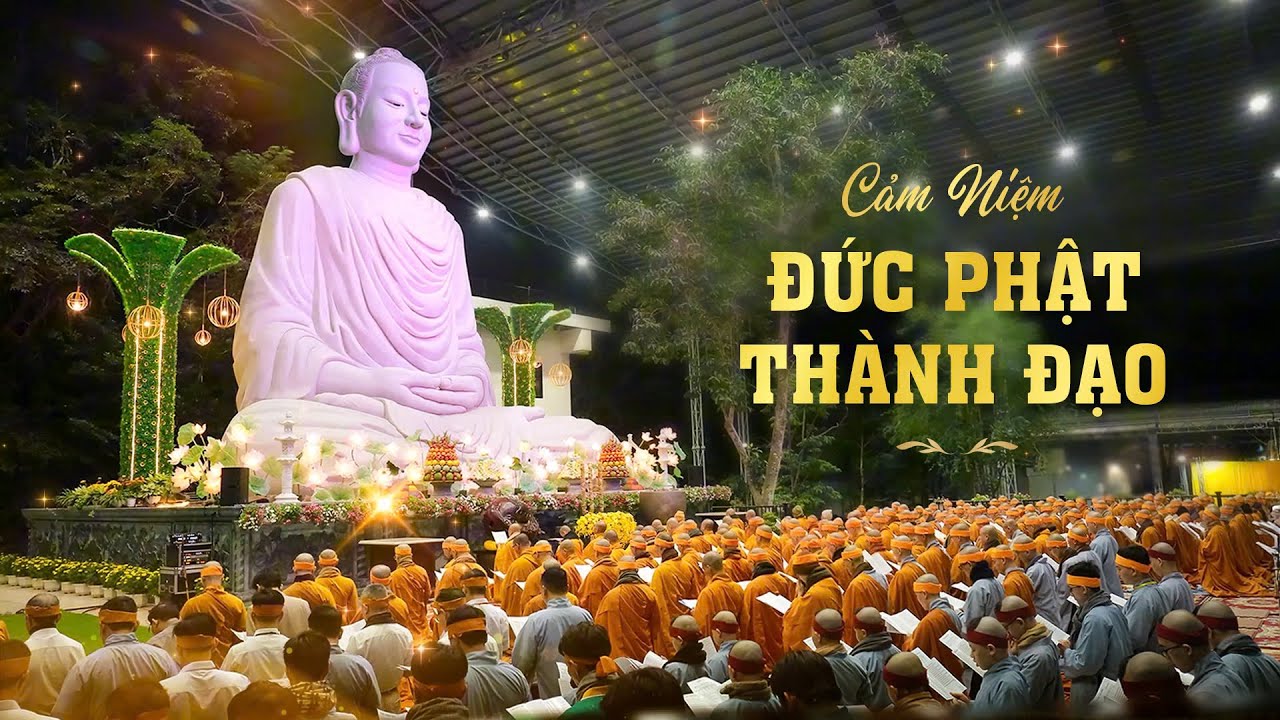 Cảm Niệm Ngày Đức Phật Thành Đạo